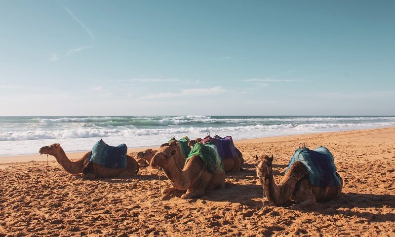 20 Best Beaches of North Africa | Tour Algeria