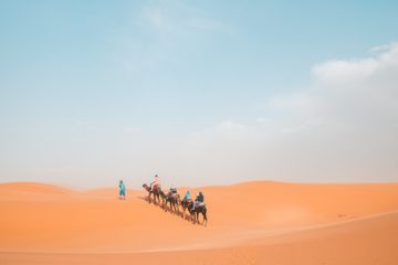 The Largest Desert in the World: The Sahara [GUIDE]