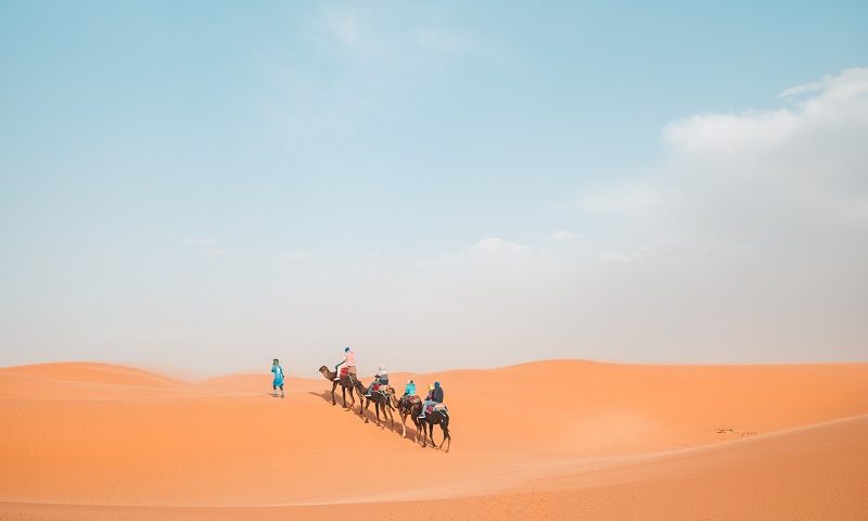The Largest Desert in the World: The Sahara [GUIDE]