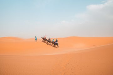 Top 21 Fascinating Sahara Desert Fun Facts | TourAlgeria