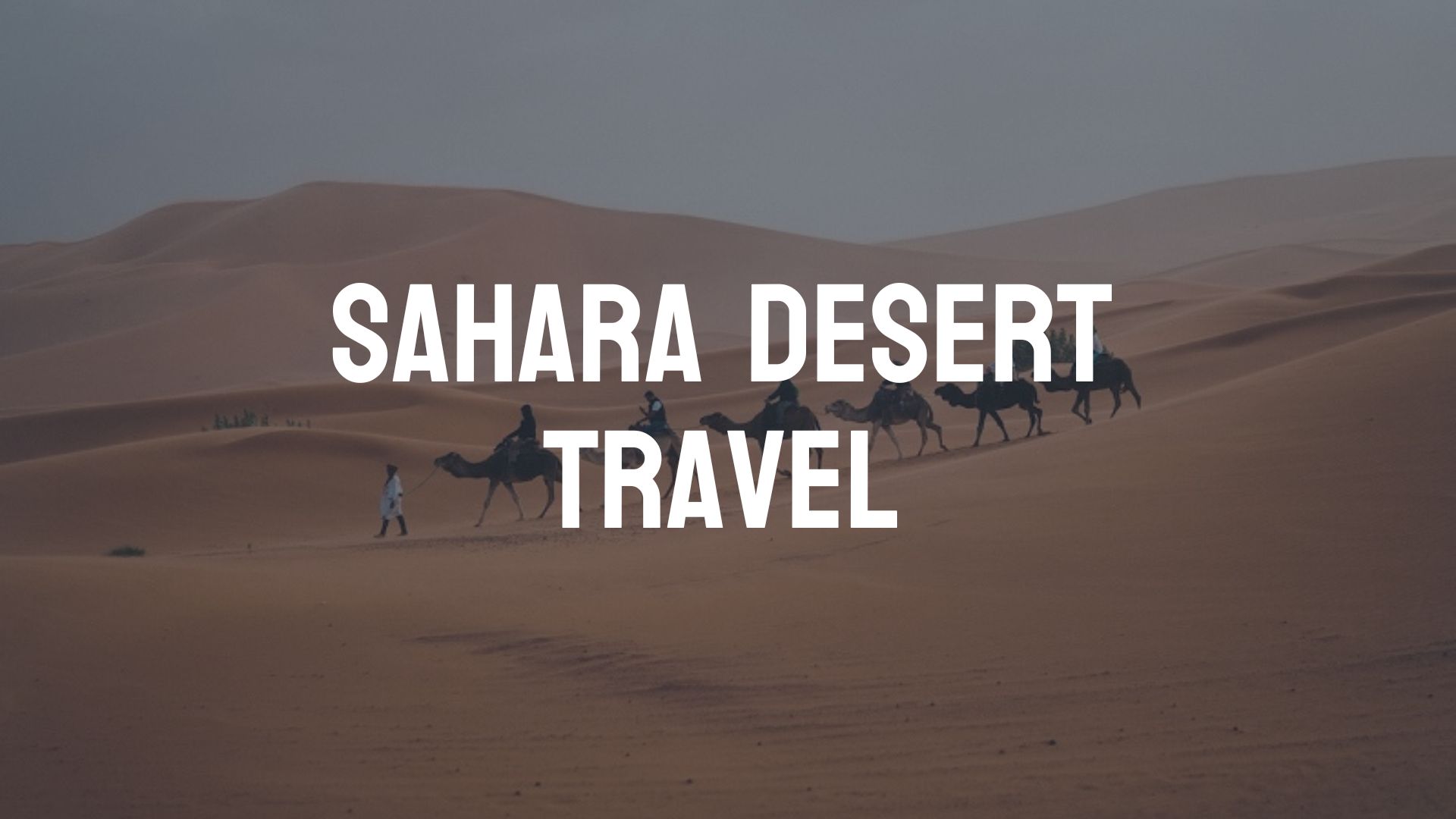 Sahara Desert Travel Destination