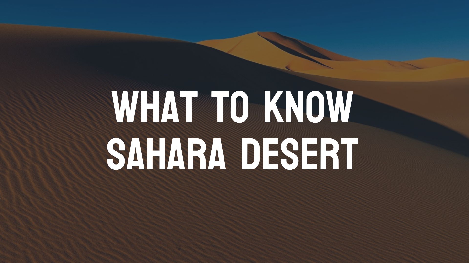 what-to-know-sahara-desert-attractions