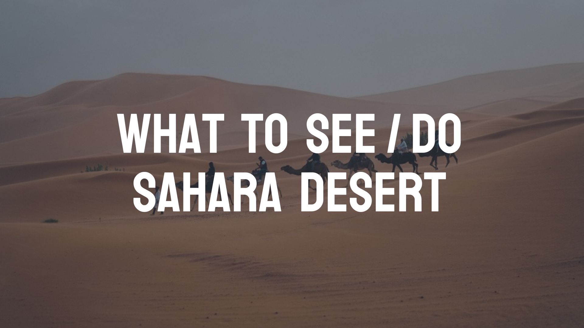 what-to-see-do-sahara-desert-attractions